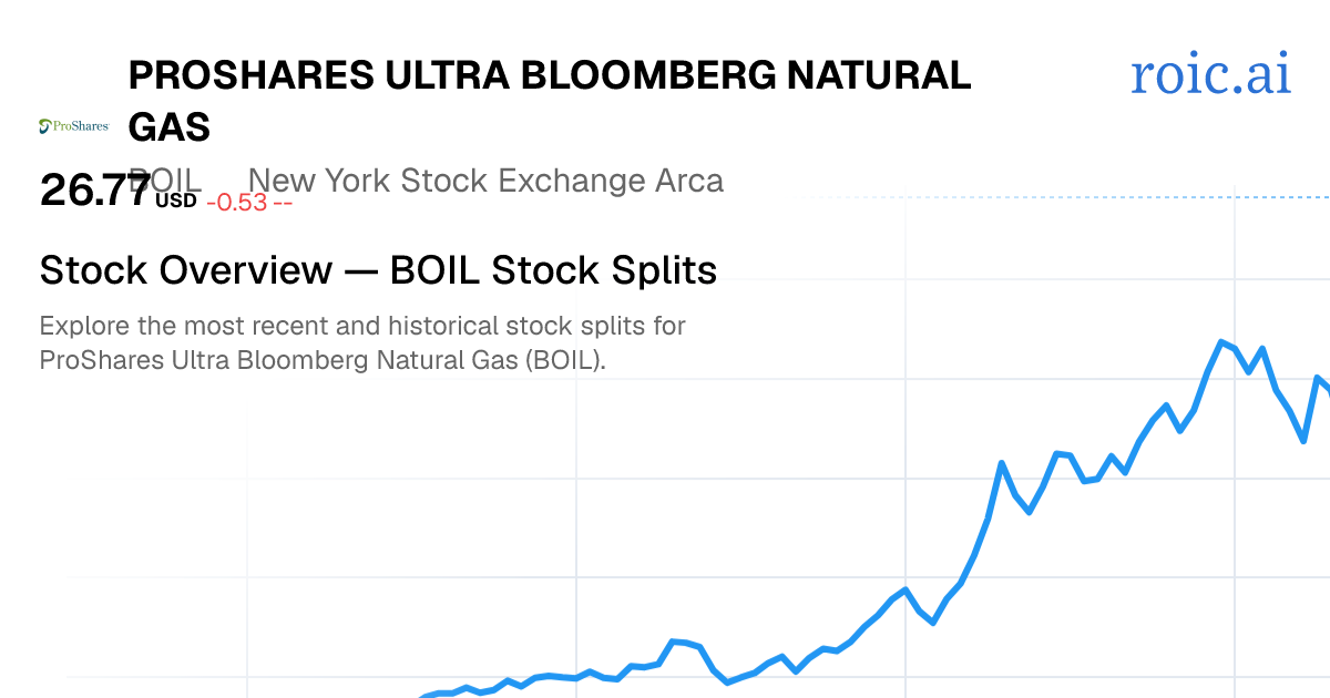 BOIL Stock Split History: Dates & Ratios (2026) | Roic AI