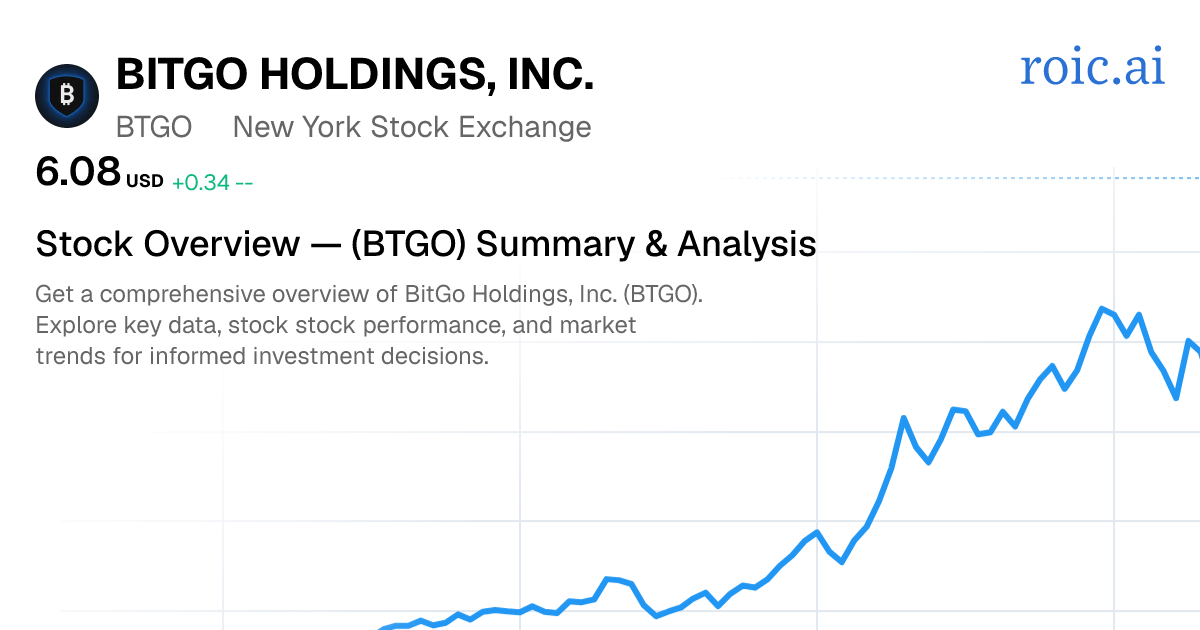 BitGo Holdings, Inc. Stock — BTGO Overview | Roic AI