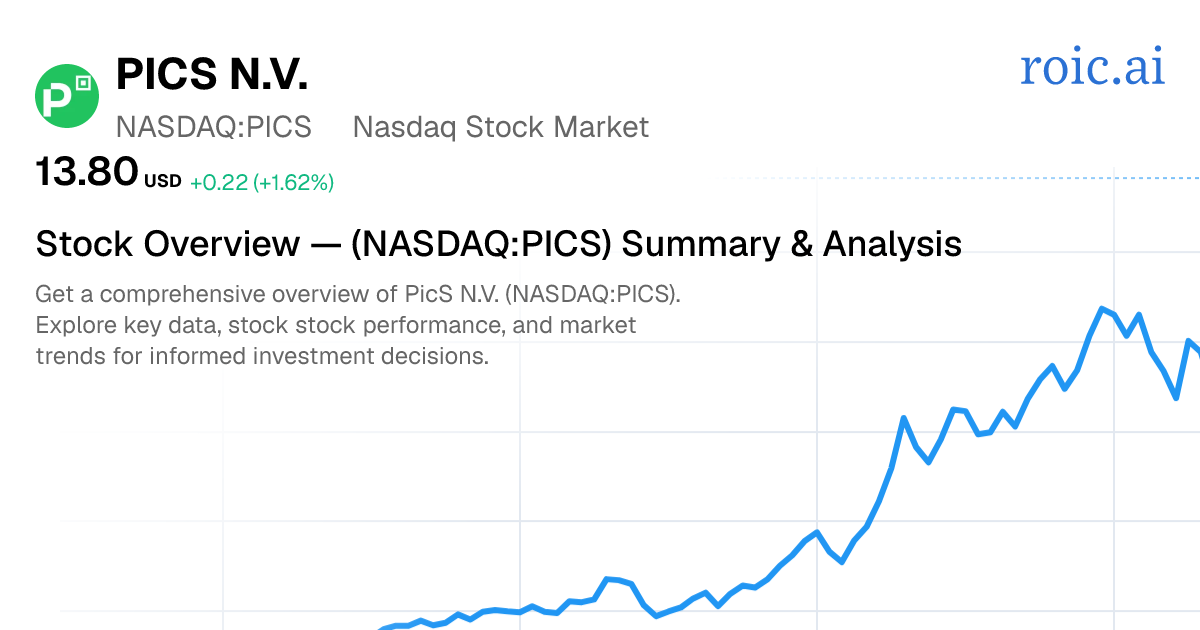 PicS N.V. Stock Overview — PICS Summary & Analysis — Roic AI